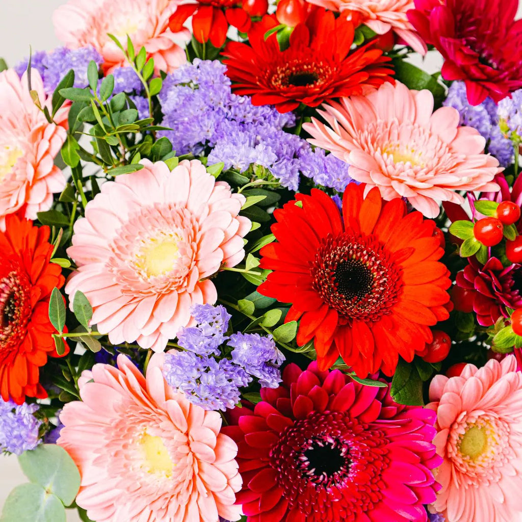 Colorful Cocktail Flora Queen