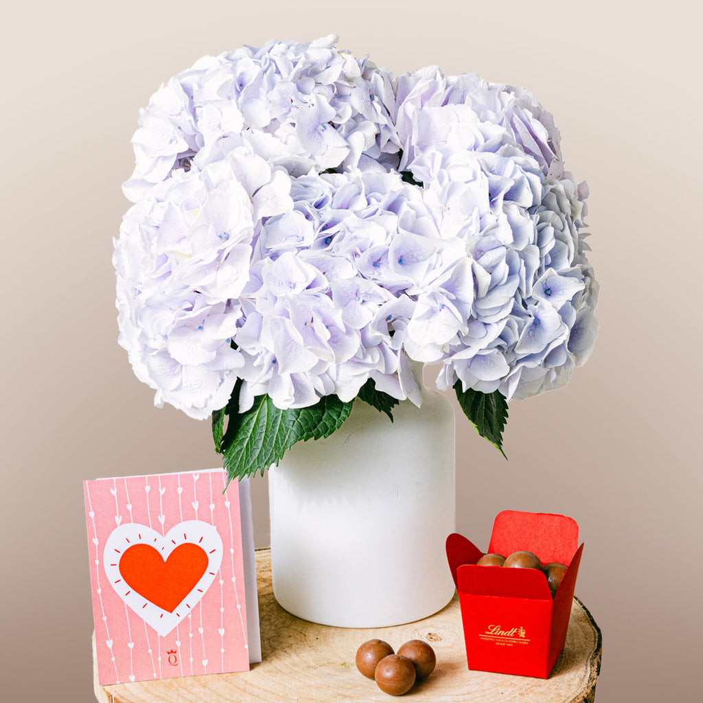 Little Sapphire Flora Queen Flora Queen