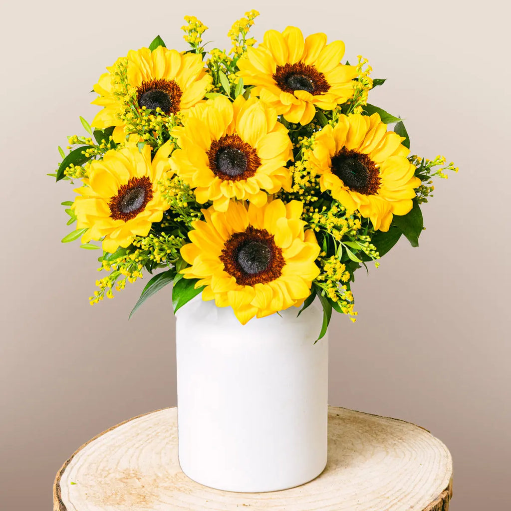 Golden Melody Flora Queen Flora Queen