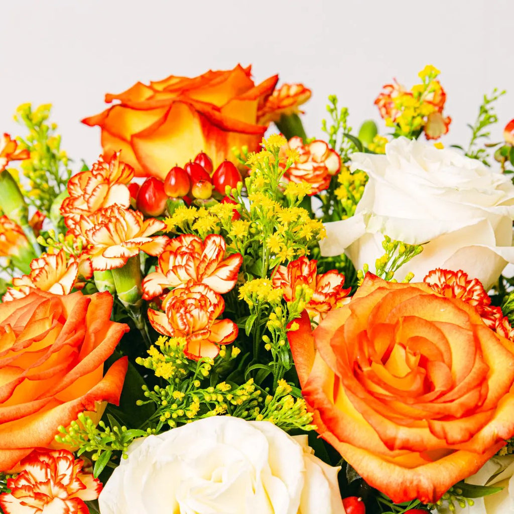 Rose Blooming Flora Queen