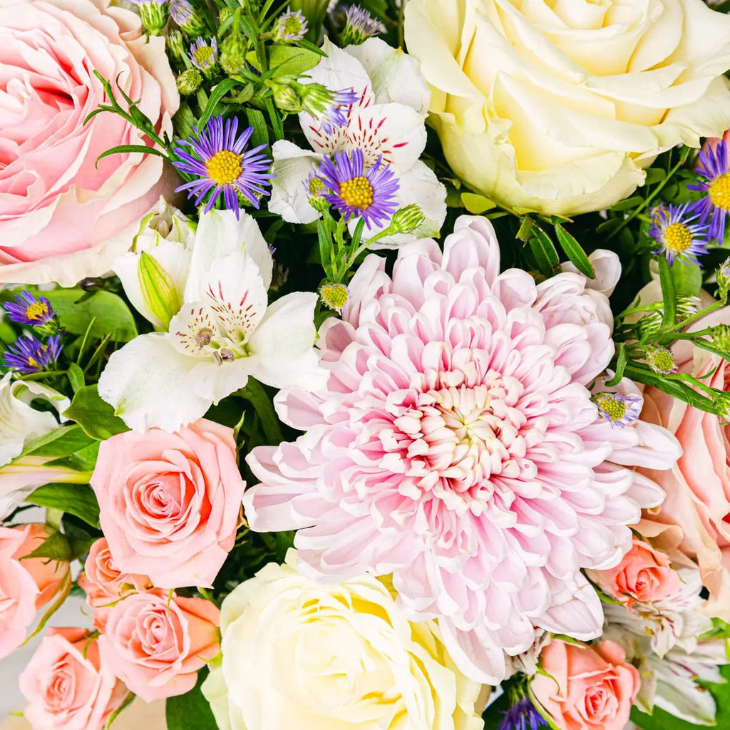 Infinite Strengh Flora Queen Flora Queen