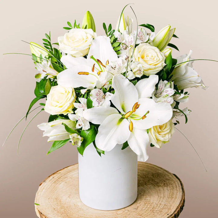 Aurore Flora Queen