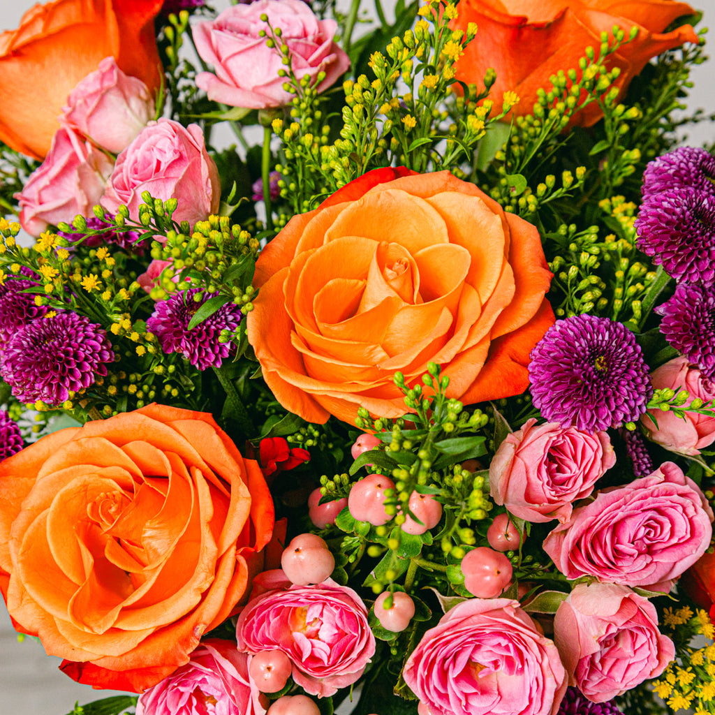 Waterfall Sunset Flora Queen Flora Queen