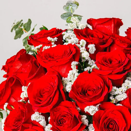 Embrace of Love Flora Queen