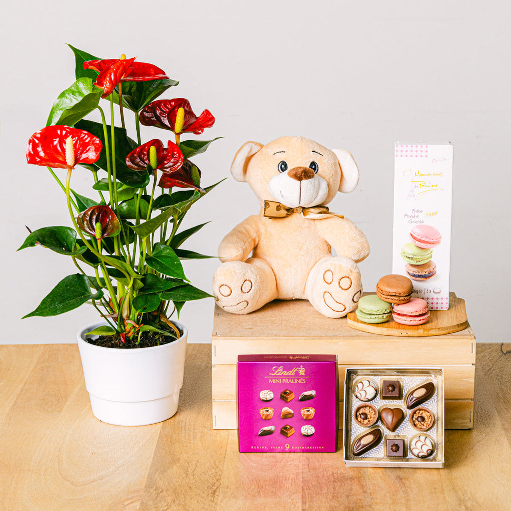 Sweet Melody Flora Queen Flora Queen