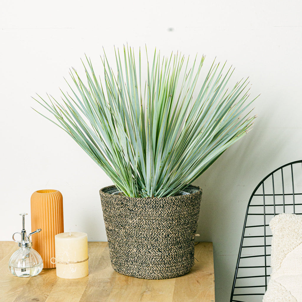 Selin Basket-  L/18cm Flora Queen Flora Queen