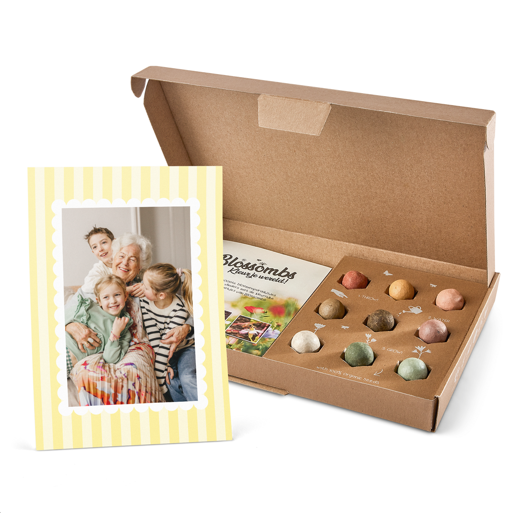 6d36ca03290b26f01aee8a98c999824d