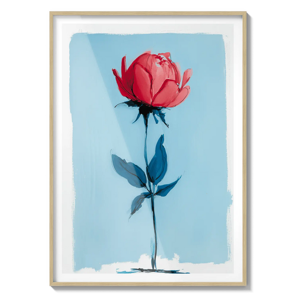 Single Rose Bloom Flora Queen Flora Queen