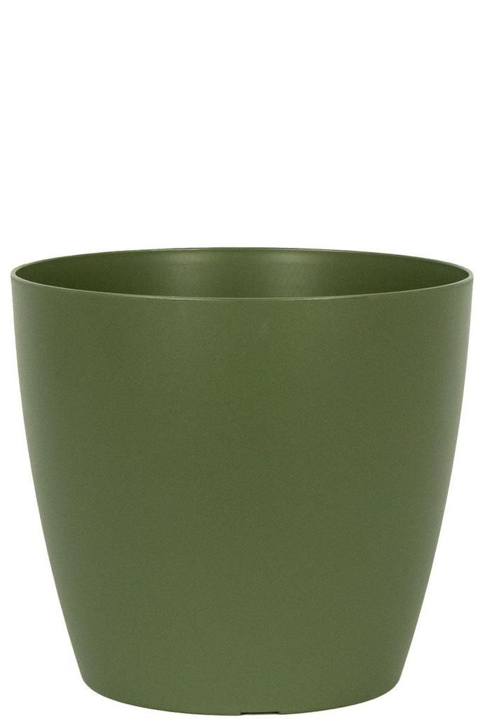 San Remo Green Pot D12cm Flora Queen Flora Queen