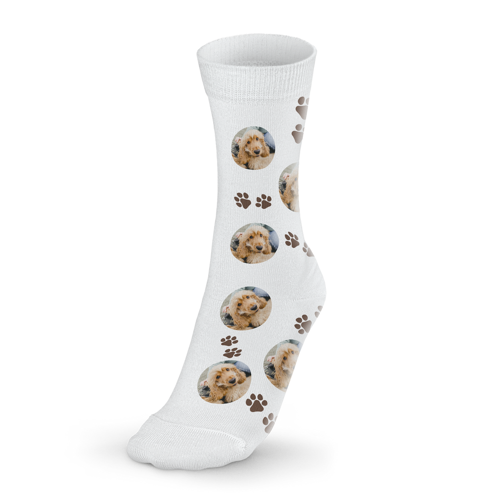 ca436a747f9bd8b7c0ae4c66f4f38c86