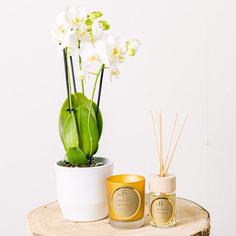 Mini Charm d'oro: Orchidea, Candela e Mikado